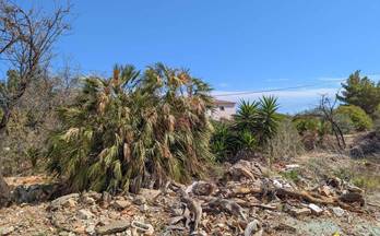 venta terrenos solares denia el montgó