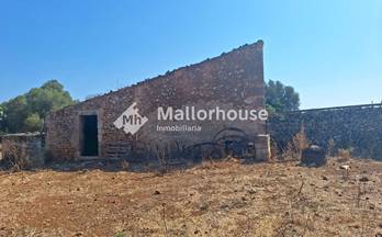 venta finca rustica ariany ariany
