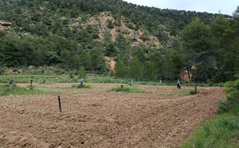 terrenos solares en venta teruel provincia