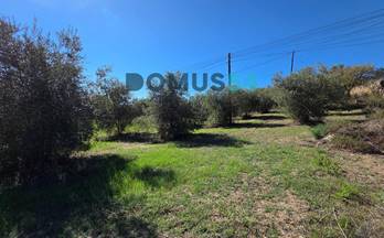 venta terrenos solares campanet 