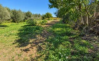 venta casa unifamiliar sant marti sarroca 