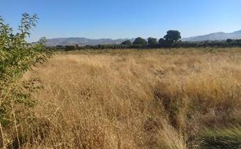 venta terrenos solares alhendin pago bacaque
